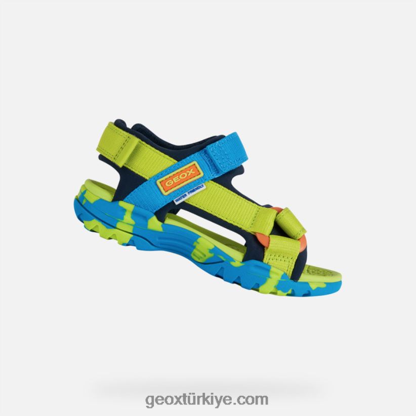 Borealis çocuğu limon/gökyüzü Geox B60TP61962