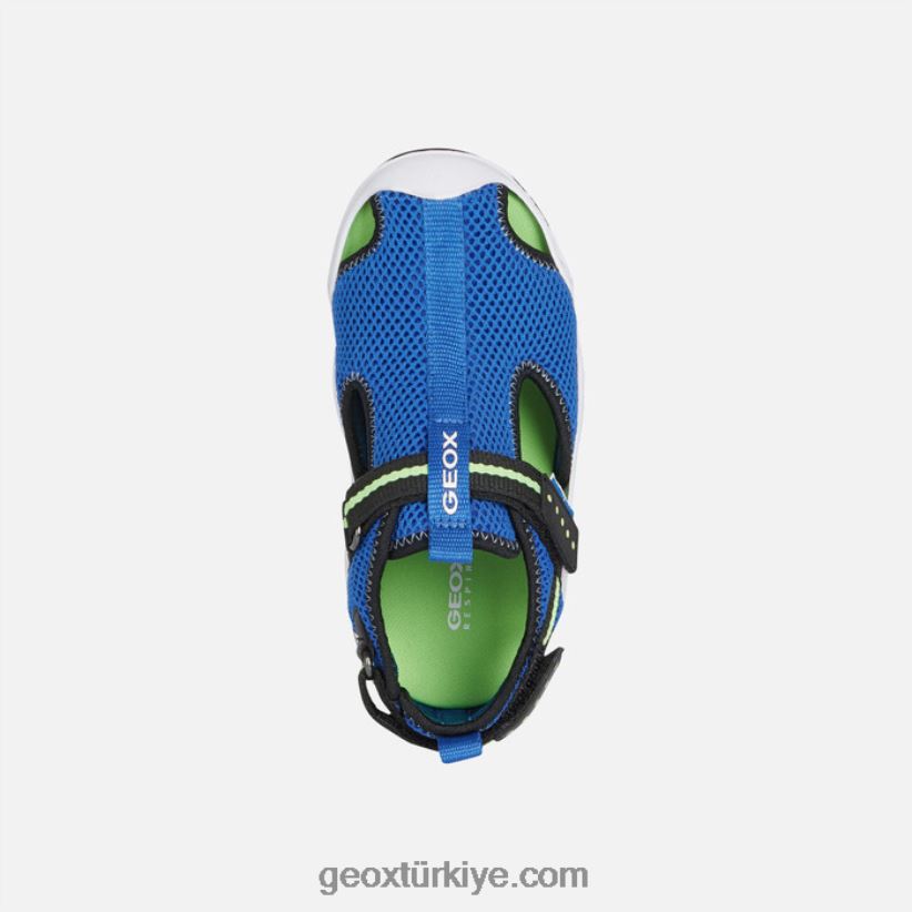 genç kuş avcısı asil/flüoresan Geox B60TP61348