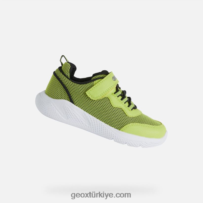 genç sprintye kireç/siyah Geox B60TP61351