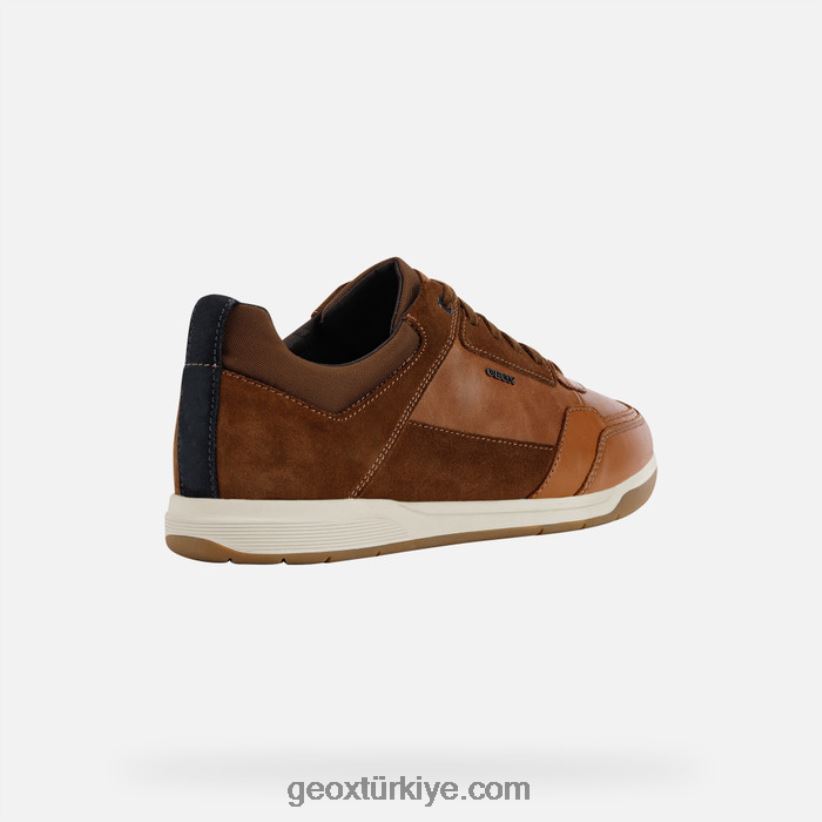 küre ec3 adam konyak/açık kahverengi Geox B60TP6934