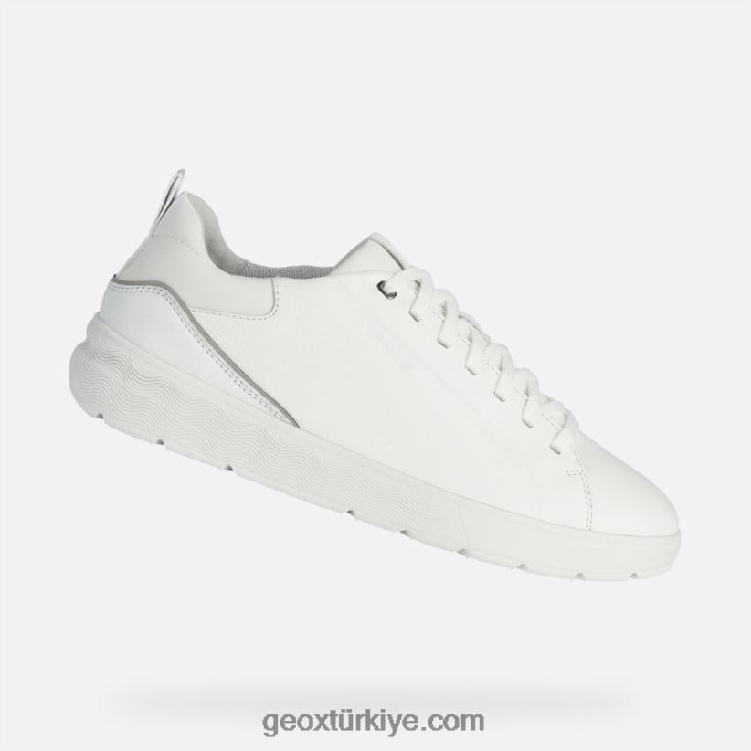 küre ec4 adam beyaz Geox B60TP6678