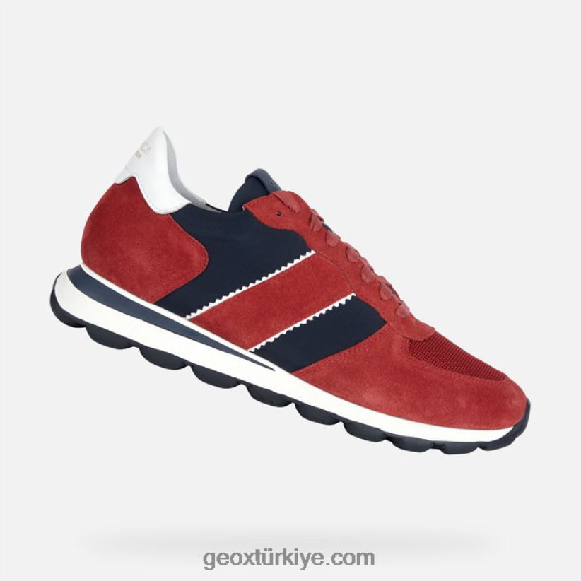 koyu kırmızı/lacivert