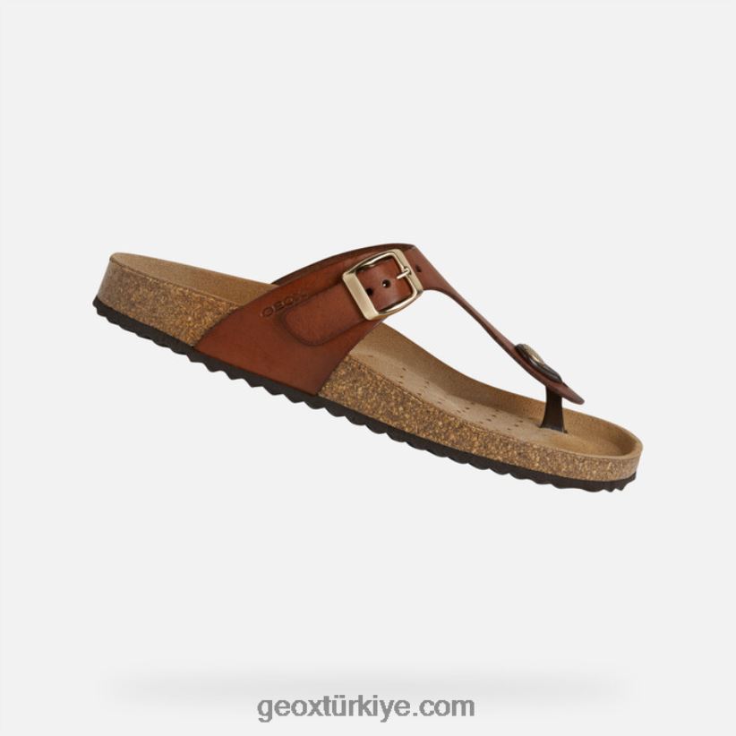 brionia kadın kahverengi Geox B60TP6494