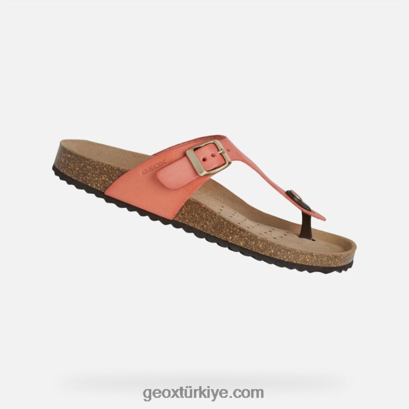 brionia kadın pas Geox B60TP6496