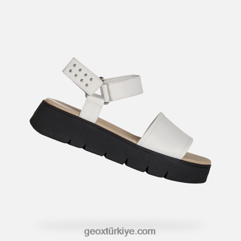 dandra 40 kadın beyaz Geox B60TP6515