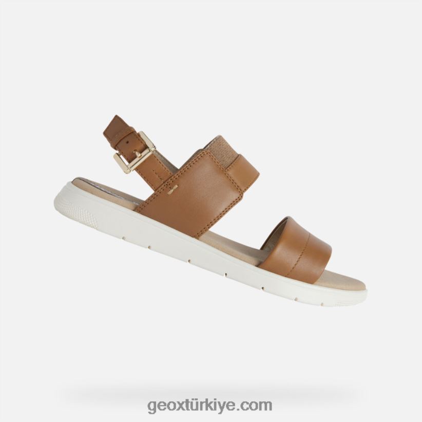 dandra kadın deve Geox B60TP6549