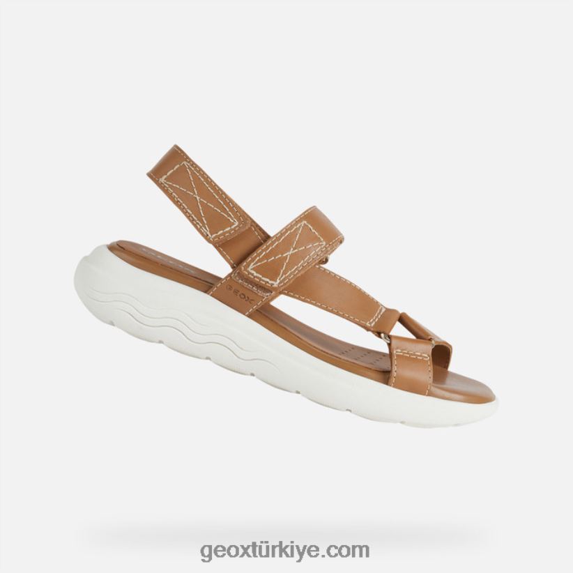 spherica ec5w kadın deve Geox B60TP638