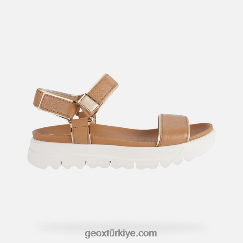 xand 2.1s kadın deve/açık altın Geox B60TP6141