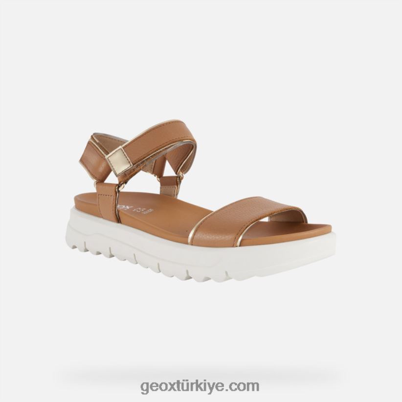xand 2.1s kadın deve/açık altın Geox B60TP6141