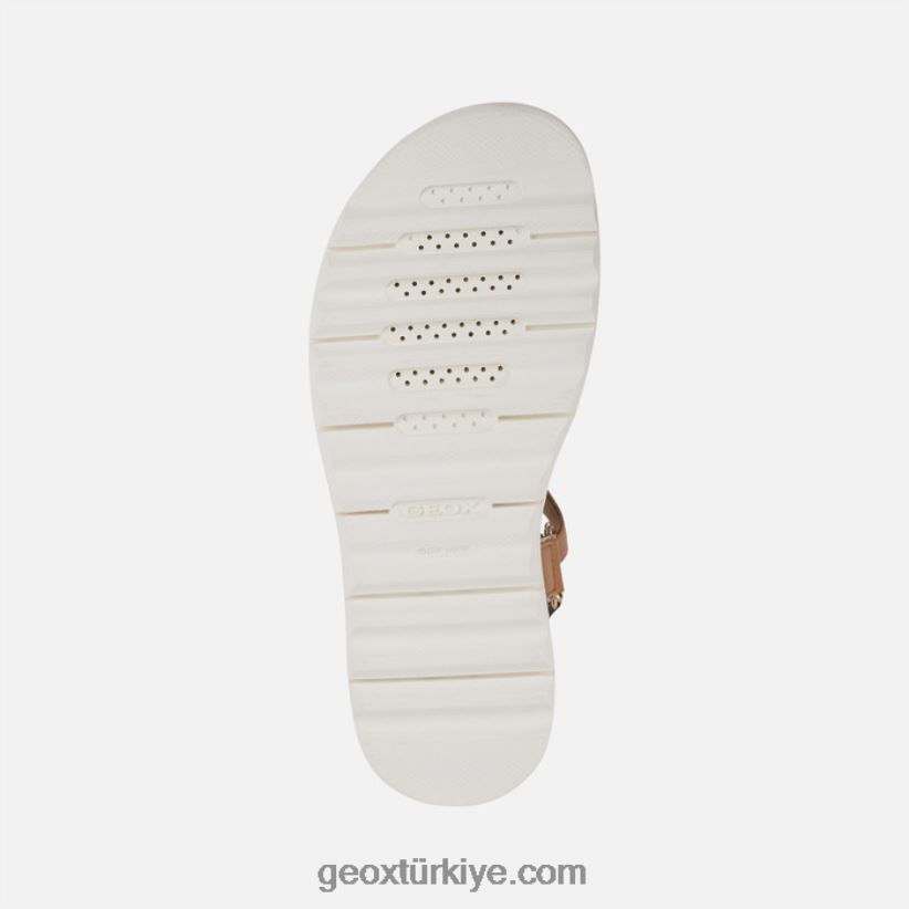 xand 2.1s kadın deve/açık altın Geox B60TP6141