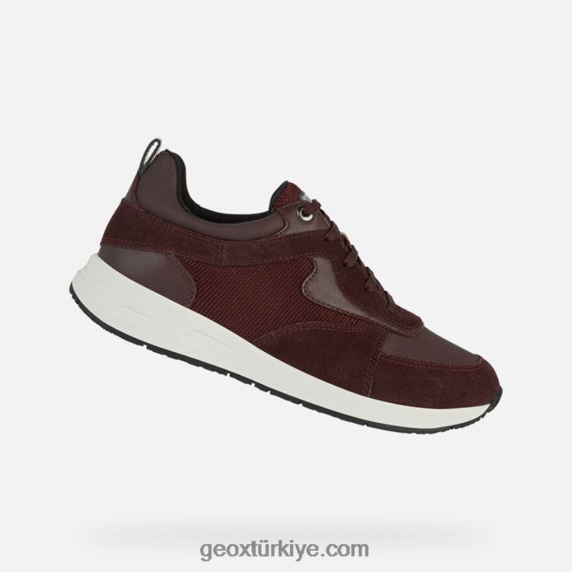 bulmyalı kadın koyu bordo/şarap Geox B60TP6287