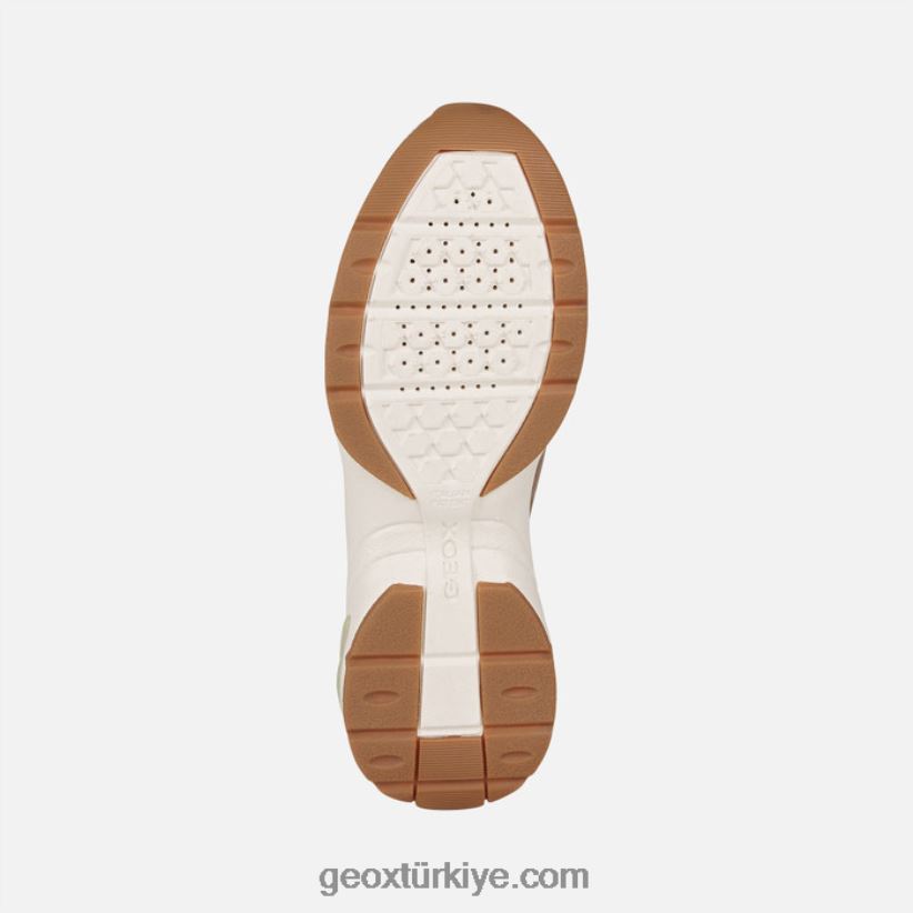 her saat kadın buz/koyu bej Geox B60TP6245