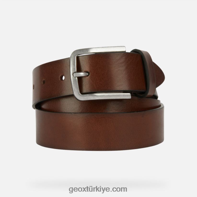 kemer adam Kahve Geox B60TP61797